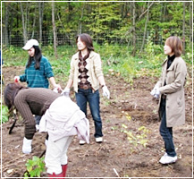 植樹祭の様子の写真