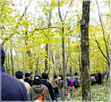 植樹祭の様子の写真